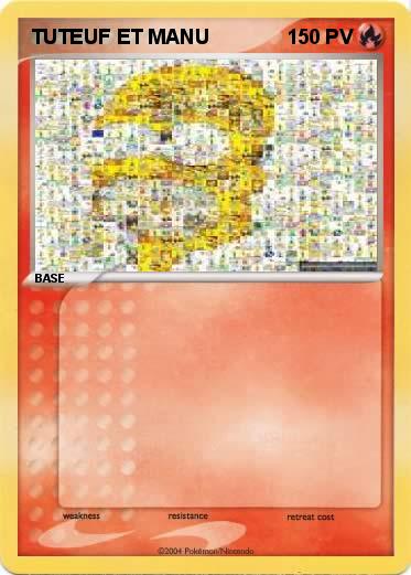 Pokemon TUTEUF ET MANU