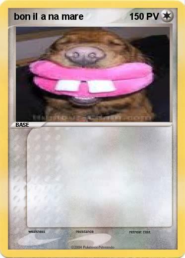 Pokemon bon il a na mare