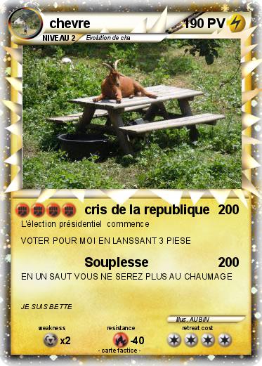Pokemon chevre