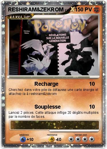 Pokemon RESHIRAM&ZEKROM