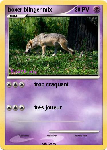 Pokemon boxer blinger mix