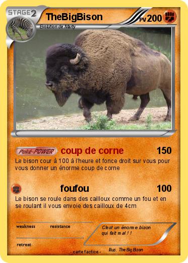 Pokemon TheBigBison