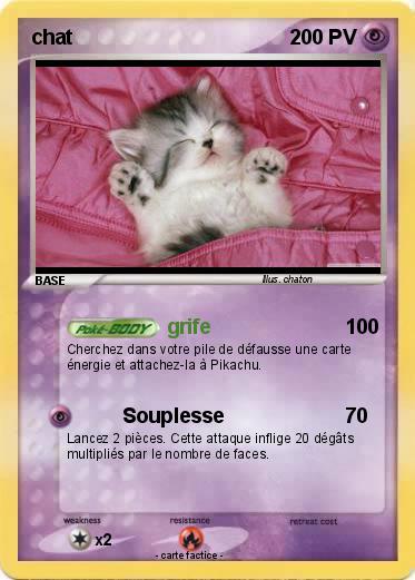Pokemon chat