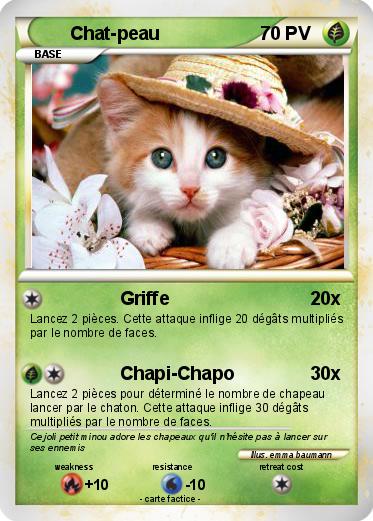 Pokemon Chat-peau