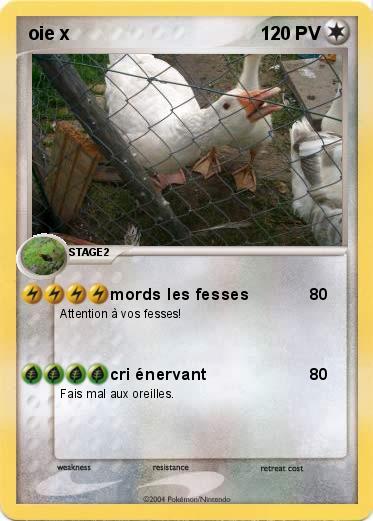 Pokemon oie x