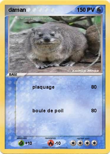 Pokemon daman
