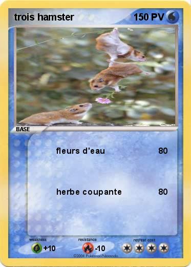 Pokemon trois hamster