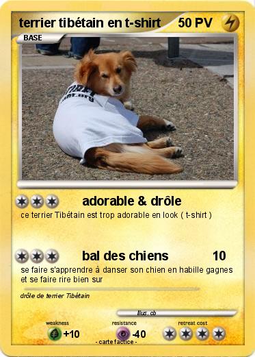 Pokemon terrier tibétain en t-shirt