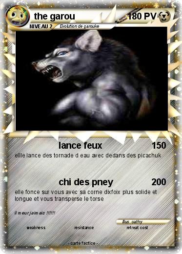 Pokemon the garou