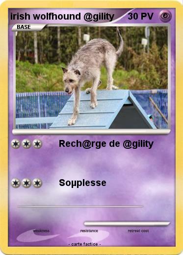 Pokemon irish wolfhound @gility