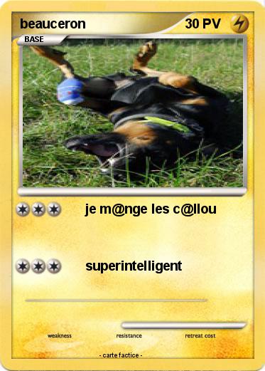 Pokemon beauceron