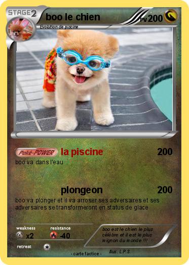 Pokemon boo le chien