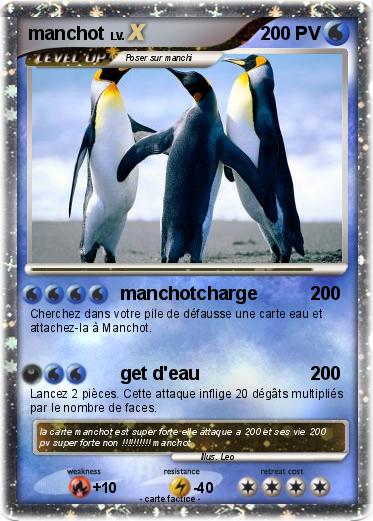Pokemon manchot