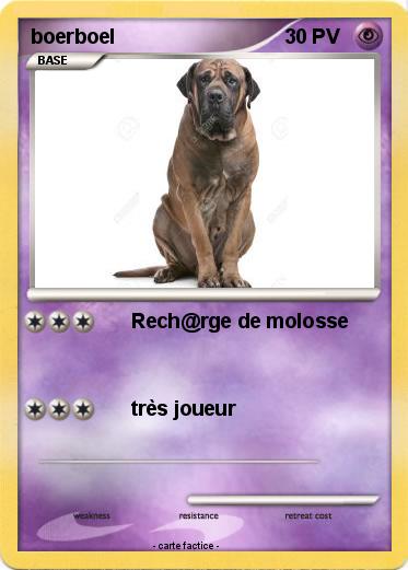 Pokemon boerboel
