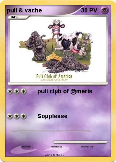 Pokemon puli & vache