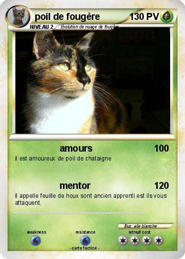 Pokemon poil de fougère