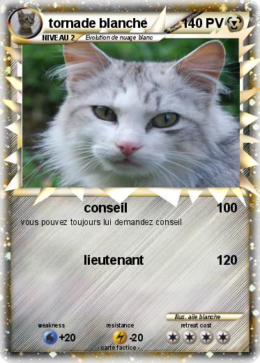 Pokemon tornade blanche