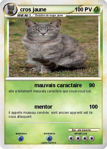 Pokemon cros jaune