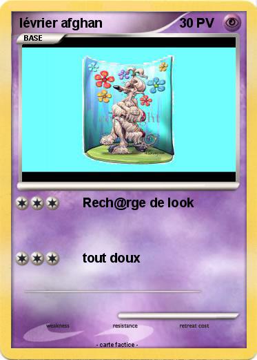 Pokemon lévrier afghan