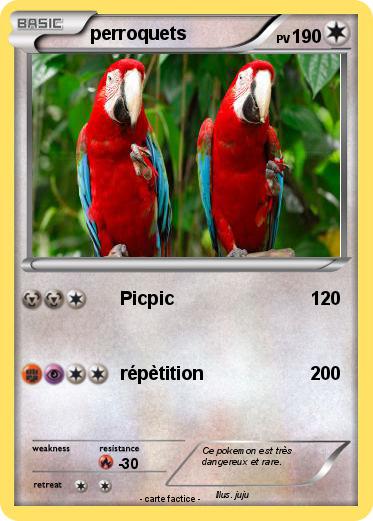 Pokemon perroquets