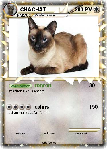 Pokemon CHACHAT