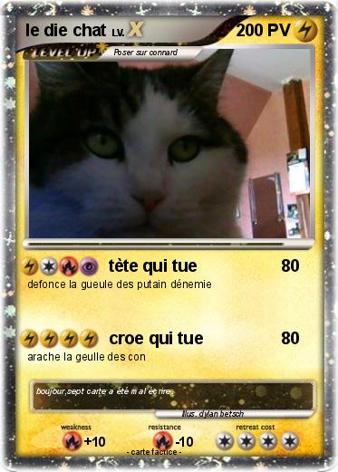 Pokemon le die chat