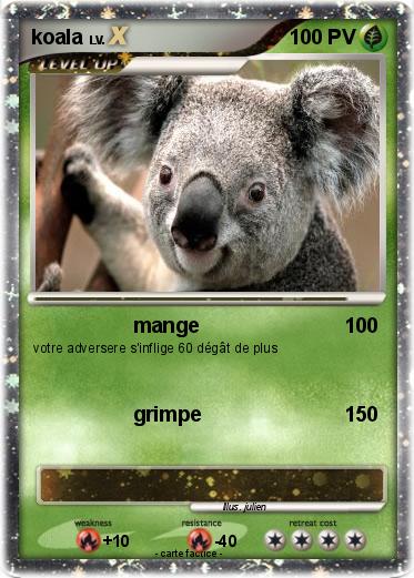 Pokemon koala