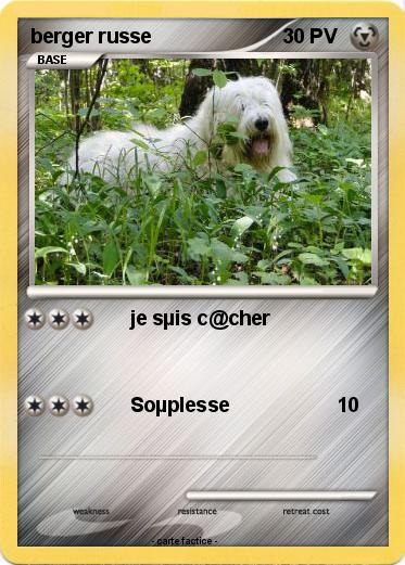 Pokemon berger russe