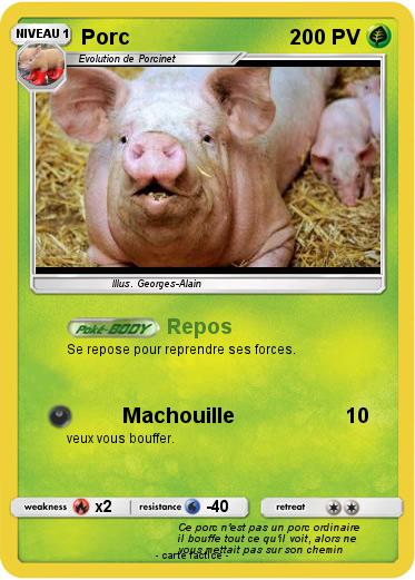 Pokemon Porc