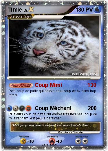 Pokemon Timie