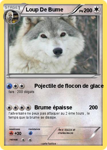 Pokemon Loup De Bume