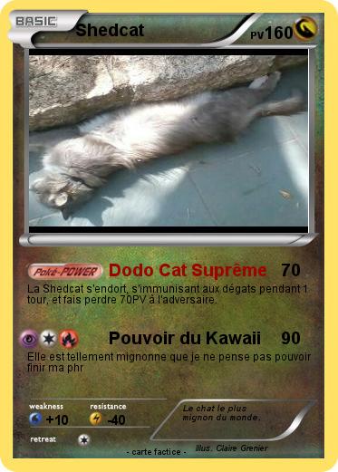 Pokemon Shedcat