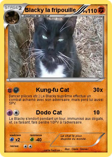 Pokemon Blacky la fripouille