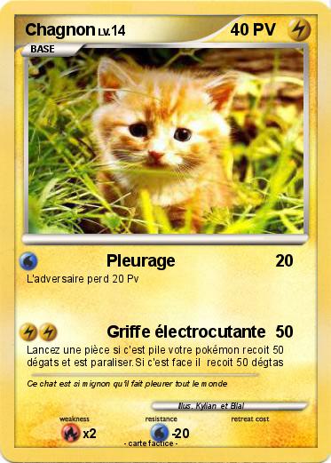 Pokemon Chagnon