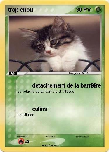 Pokemon trop chou