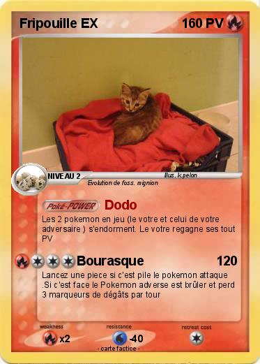 Pokemon Fripouille EX