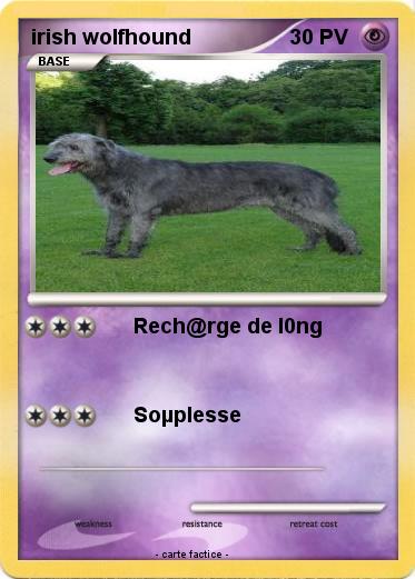 Pokemon irish wolfhound