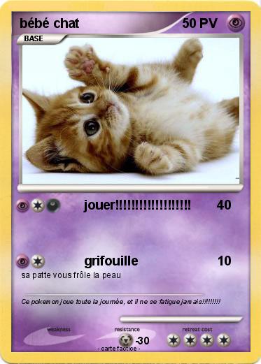 Pokemon bébé chat