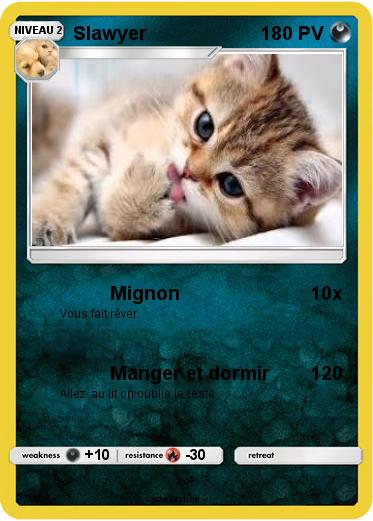Pokemon Slawyer