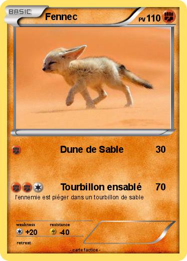 Pokemon Fennec