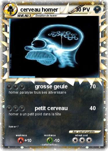 Pokemon cerveau homer