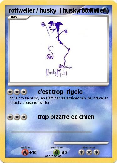 Pokemon rottweiler / husky  ( huskyrottweiler )