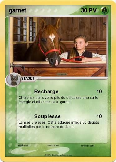 Pokemon garnet
