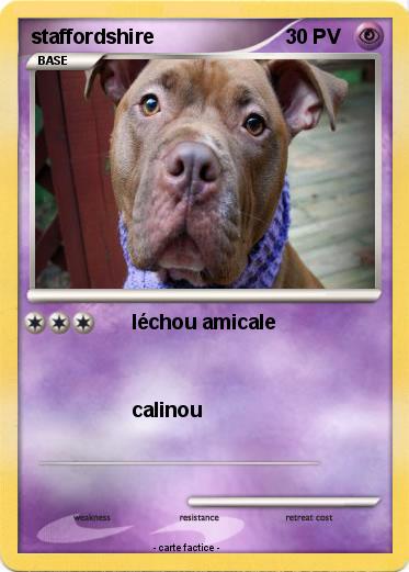 Pokemon staffordshire