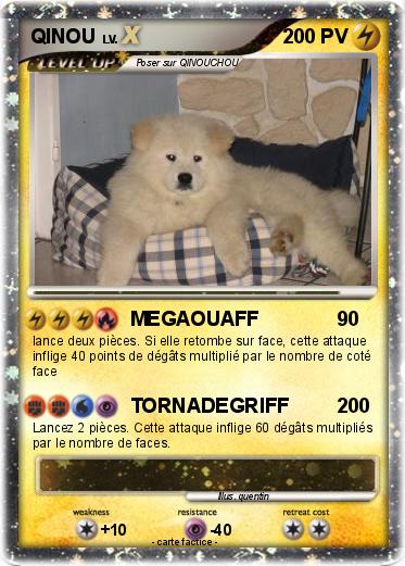 Pokemon QINOU