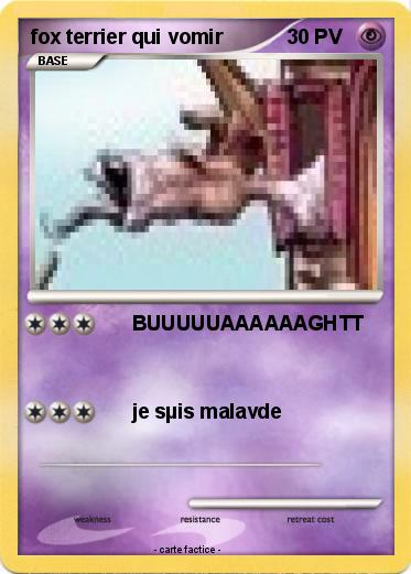 Pokemon fox terrier qui vomir