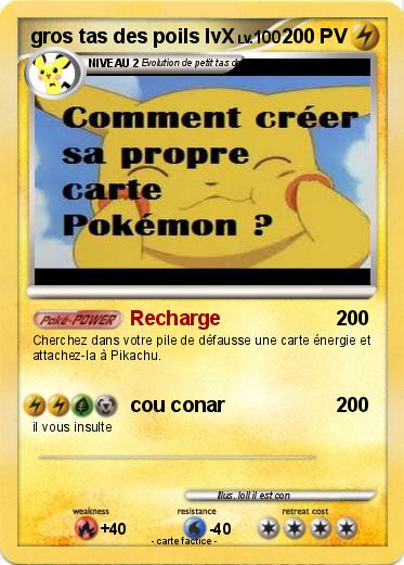 Pokemon gros tas des poils lvX