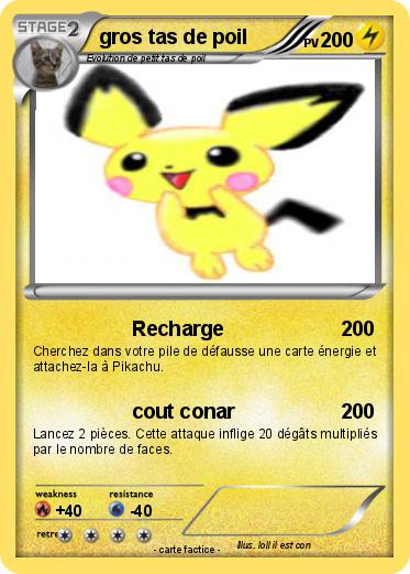 Pokemon gros tas de poil