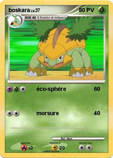 Pokemon boskara