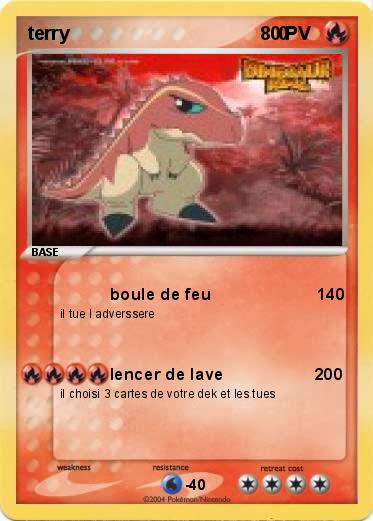 Pokemon terry                                         0